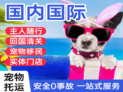 白莲机场货运国际宠物托运 【国